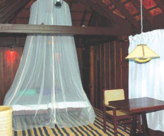 Mullackal Homestay, Alleppey 4